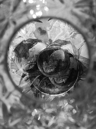 APPAREIL PHOTO NUMÉRIQUE OLYMPUS