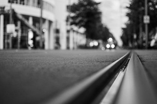 Tramrails in Den Haag