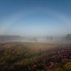 Nebelbogen über der blühenden Heide in den Gasselterduinen – neblige Heidelandschaft in Drenthe von KB Design & Photography (Karen Brouwer)