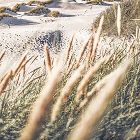 White Beaches of Denmark by Florian Kunde