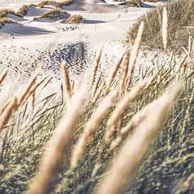 Plages blanches du Danemark sur Florian Kunde