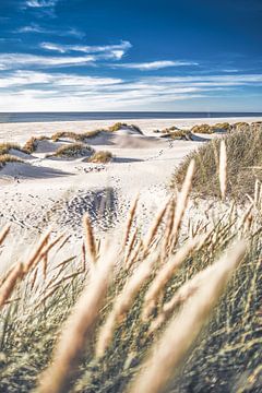 Witte stranden van Denemarken van Florian Kunde