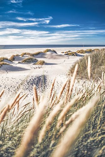 White Beaches of Denmark