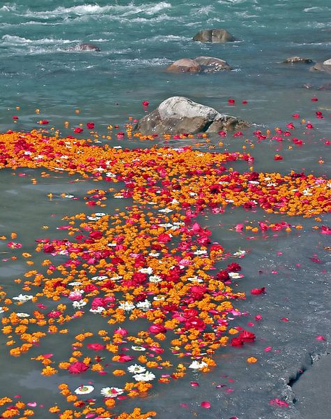 Bloemen in de rivier de Ganges in India par Eye on You