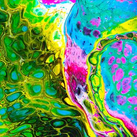 Fluoreszierendes Bio-Netz von Joke Gorter