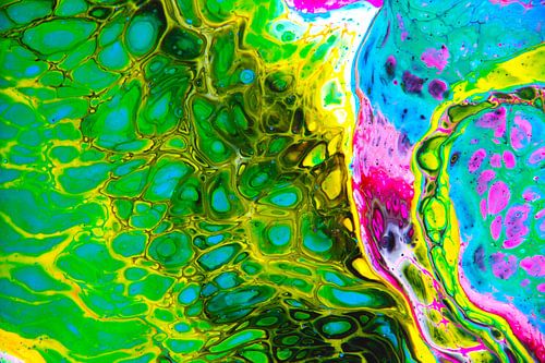 Fluoreszierendes Bio-Netz von Joke Gorter