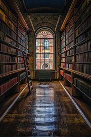 Bibliothèque de l'Université de Copenhague sur Leon Okkenburg