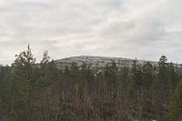 Reise von Urho Kekkonen