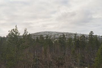 Reise von Urho Kekkonen