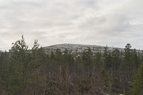 Reis door Urho Kekkonen van JNphotography