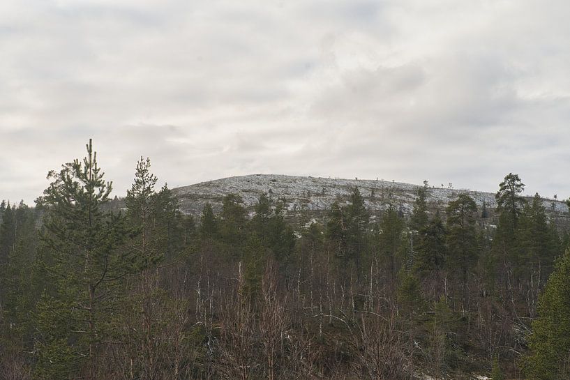 Journey by Urho Kekkonen by JNphotography