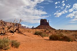 In Monument Valley