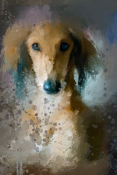 Saluki Hundeportrait - Die Hundesammlung