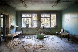 Plantez au milieu. sur Roman Robroek - Photos de bâtiments abandonnés