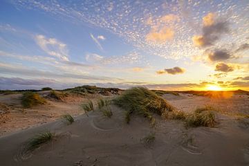 Dune, beach and sea by Dirk van Egmond