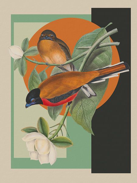 Birds par Marja van den Hurk