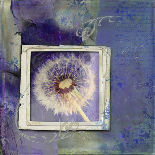 La beauté est partout - pissenlit sur Studio Papilio