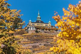 Spitzhaus Radebeul van Gunter Kirsch