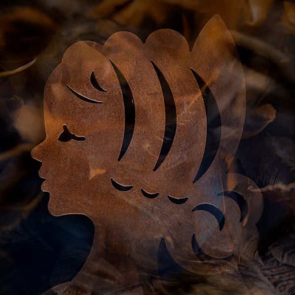 Pracht der goldenen Feder von Sense Photography