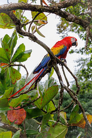 Costa Rica – wo Natur, Abenteuer und pure Schönheit aufeinander treffen