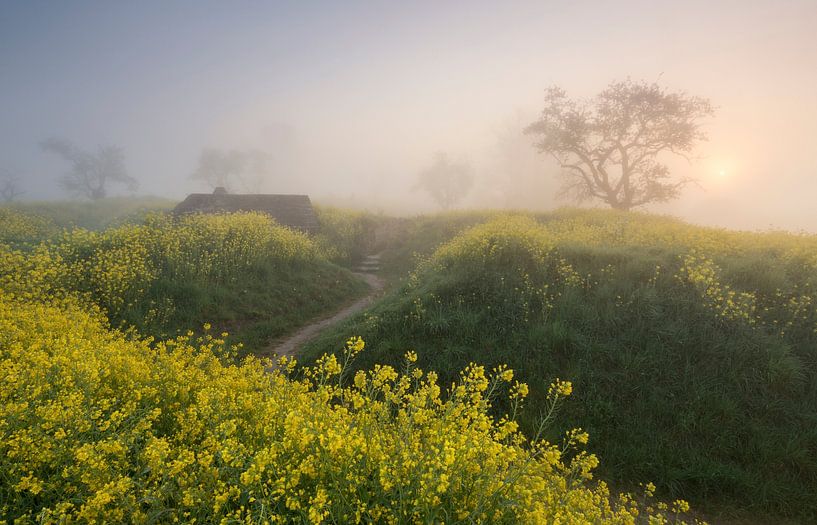 Spring Trenches II by Raoul Baart