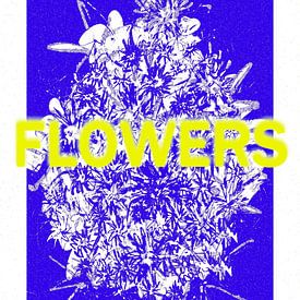 Flower Power #3 by Mister Artsy