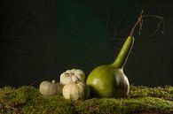 Stilleven groene pompoenen op mos van Michelle Jansen Photography thumbnail