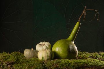Stilleven groene pompoenen op mos van Michelle Jansen Photography