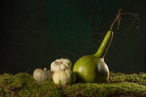 Stilleven groene pompoenen op mos