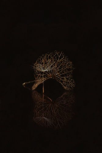 Rust von Chantal Tamming