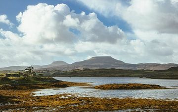 Peaceful, deserted places in Scotland. Peat bogs, acid grasses, flooded wetlands with little vegetation. by Jakob Baranowski - Photography - Video - Photoshop