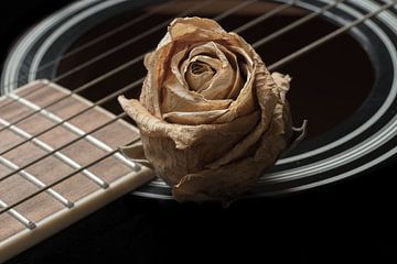 Le chant de la rose
