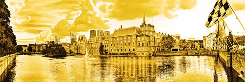 Binnenhof in Den Haag Nederland Goud