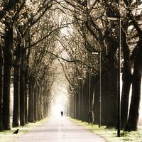 walking to the light