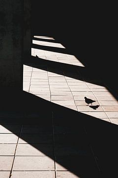 Vogel silhouette van Studio Nieuwland