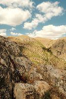 Arm at rest - Türkiye Series