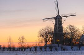 de winterse Prins van Oranje van Tania Perneel