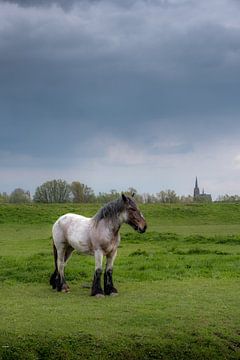 Paard met kerk