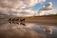 Laufende Pferde, Strand Bezirk am Meer von Aldo Sanso Miniaturansicht