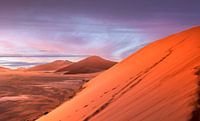 Dune 45