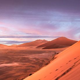 Dune 45 van Elsemiek Deug