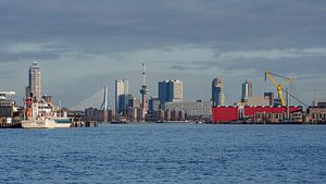 Skyline von Rotterdam.
