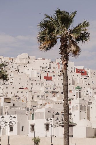 Feddan Park Tetouan in Pictures