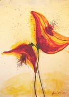 Rostrote Mohnblumen