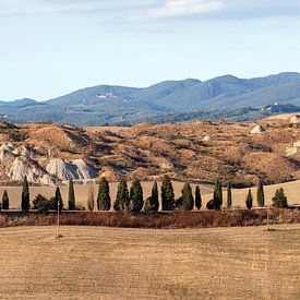 TOSCANA Crete Senesi - cipressen 002 van Bernd Hoyen