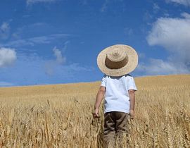 A child in an oat field by Claude Laprise