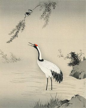 Japan crane at lake by Mad Dog Art