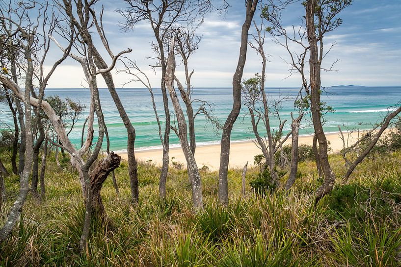 Foto aufgenommen aus einem Wald in Brou Lake Australien von Twan Bankers