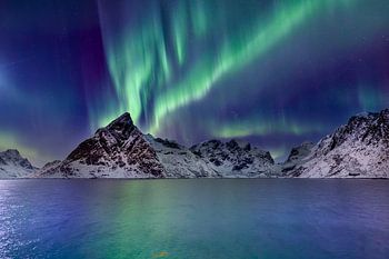Aurores boréales magiques près de Reine, îles Lofoten, Norvège