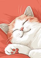 White Sleeping Cat Poster | - Ein schönes Poster für Sohn, Tochter, Neffe oder Nichte!